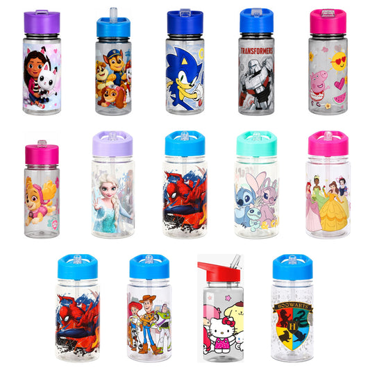 TDL Character Water Bottle 450ml – Choose Design